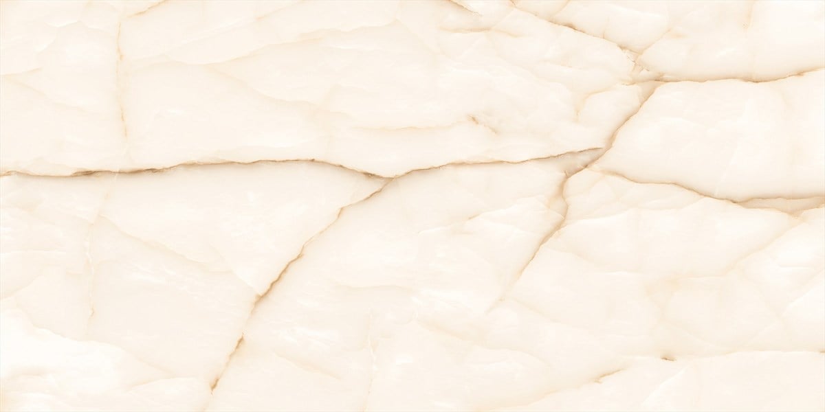 Decovita Onyx Leaf 60x60 cm Full Lappato