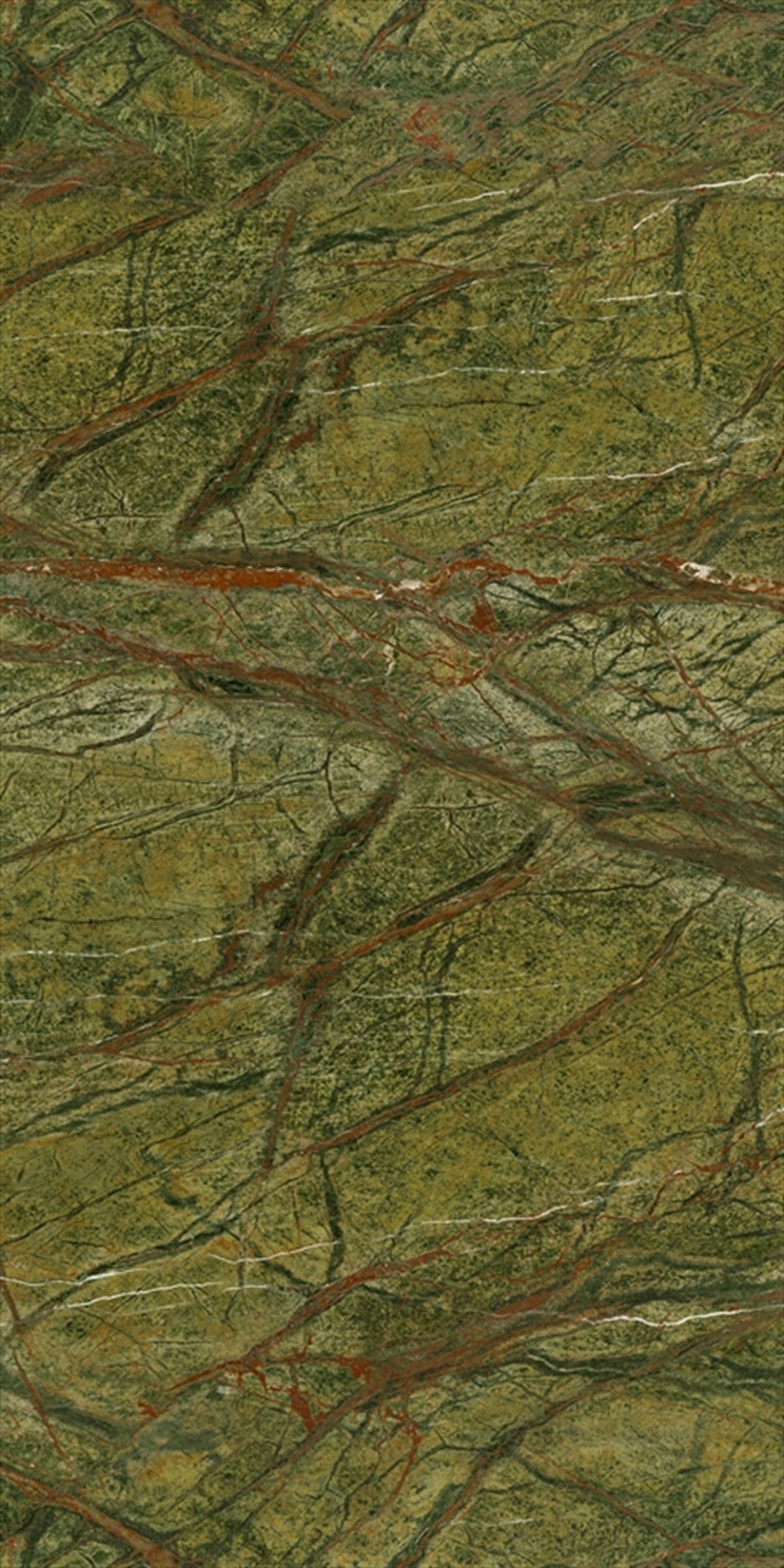 Decovita Rainforest Green 60x120 cm Full Lappato
