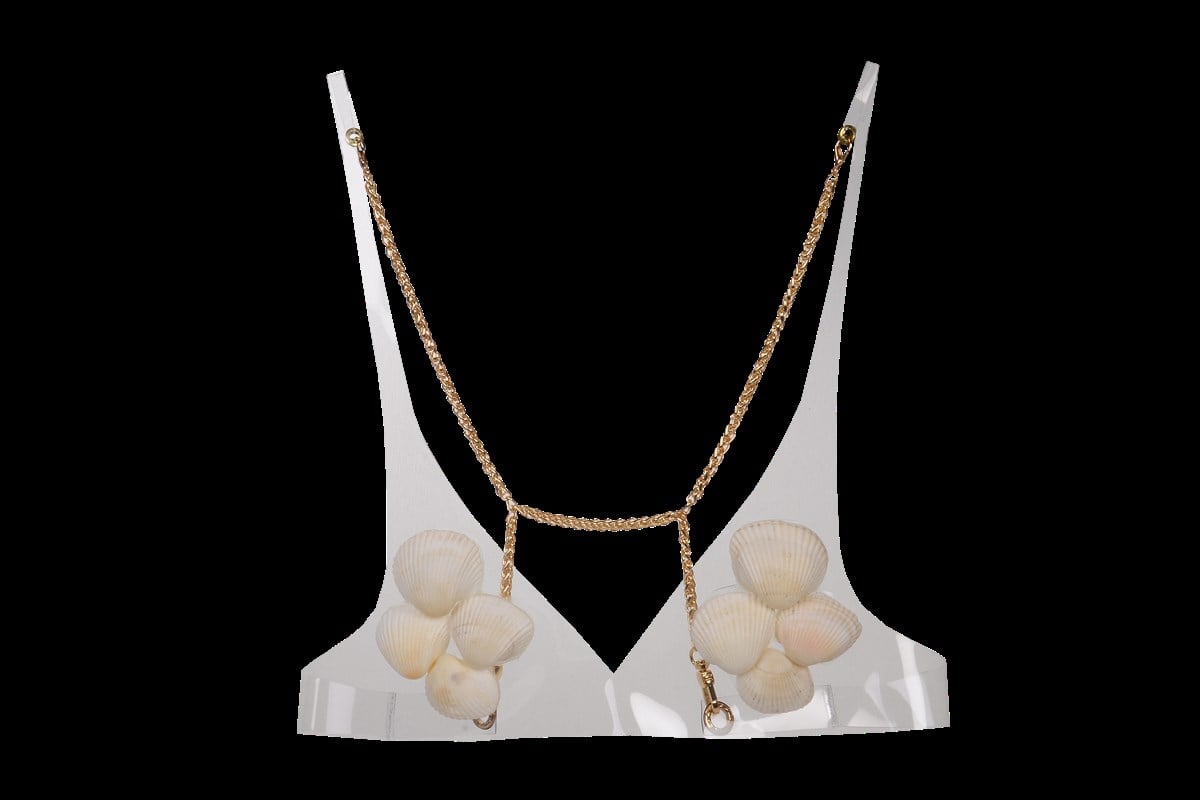 DENİZ KABUKLU VÜCUT TAKISI