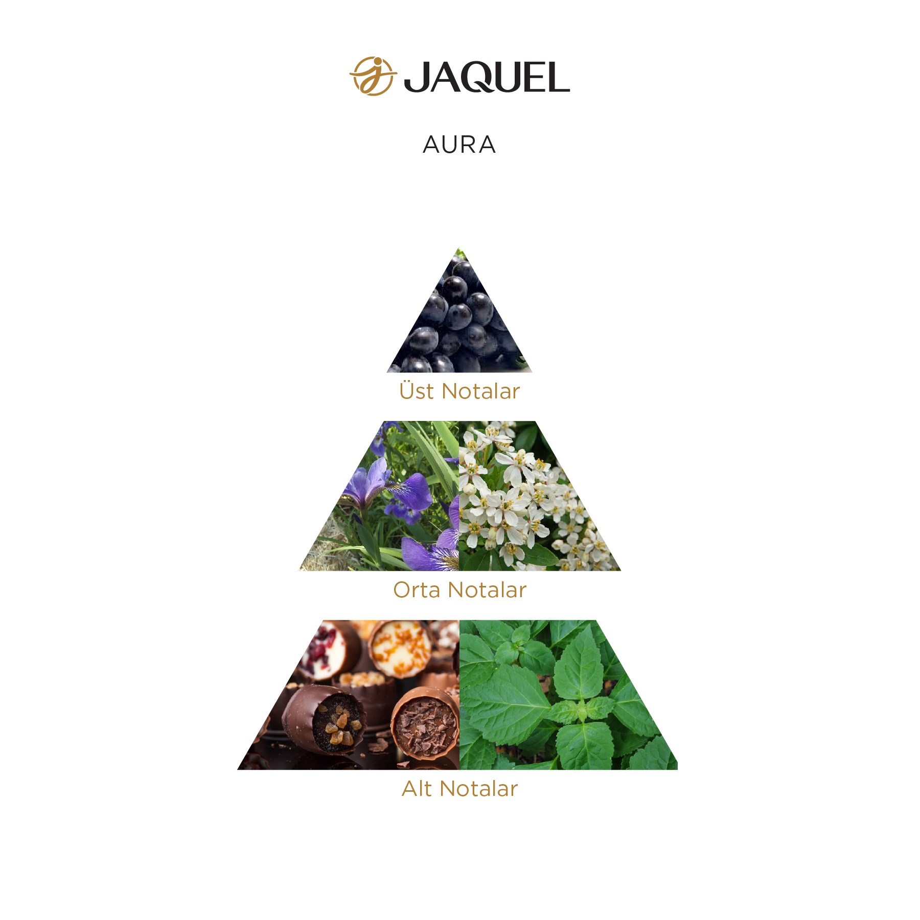 Jaquel Aura Kadın Parfumu