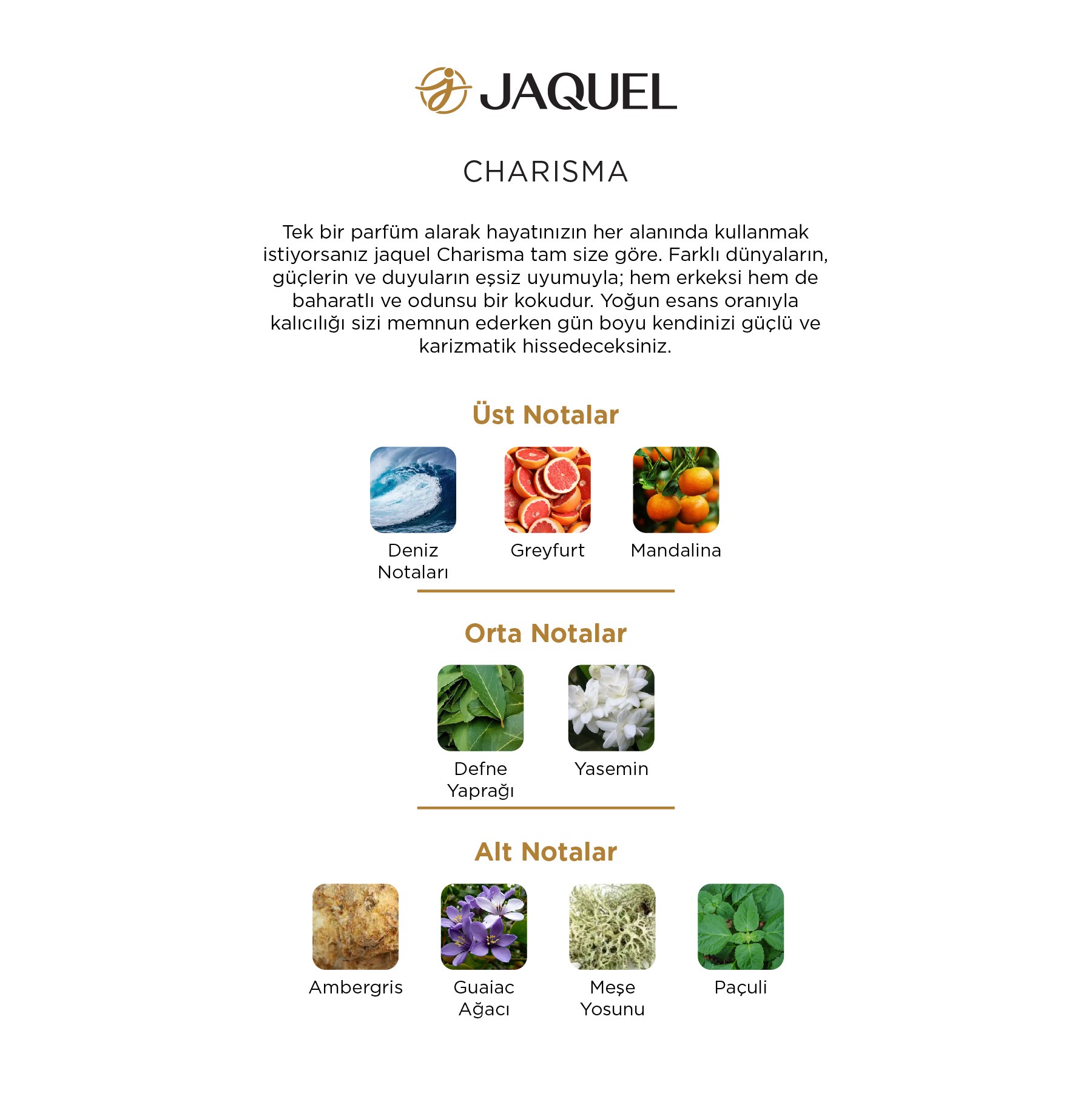 Jaquel Charisma Erkek Parfümü 100ml