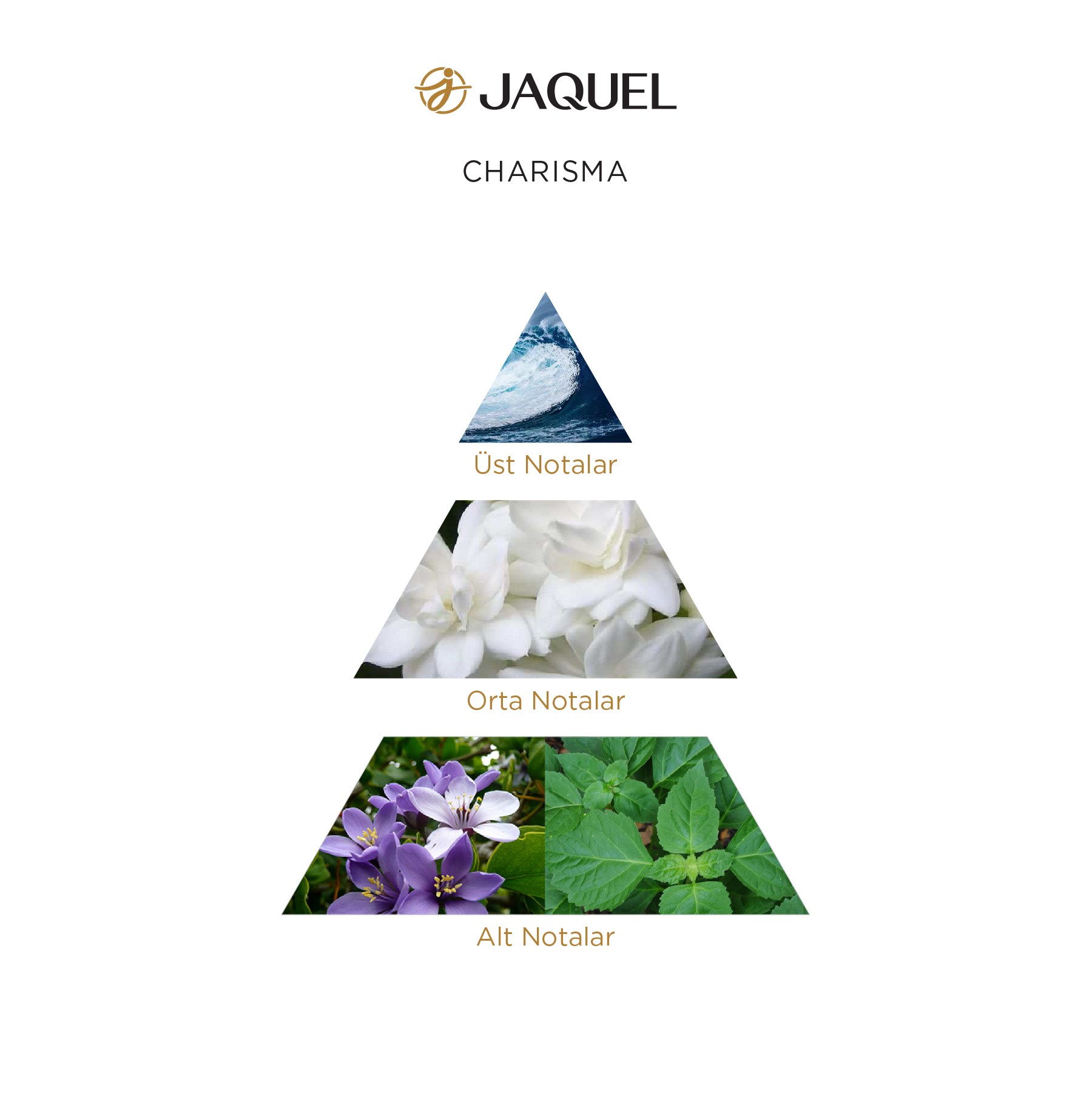 Jaquel Charisma Erkek Parfümü 100ml