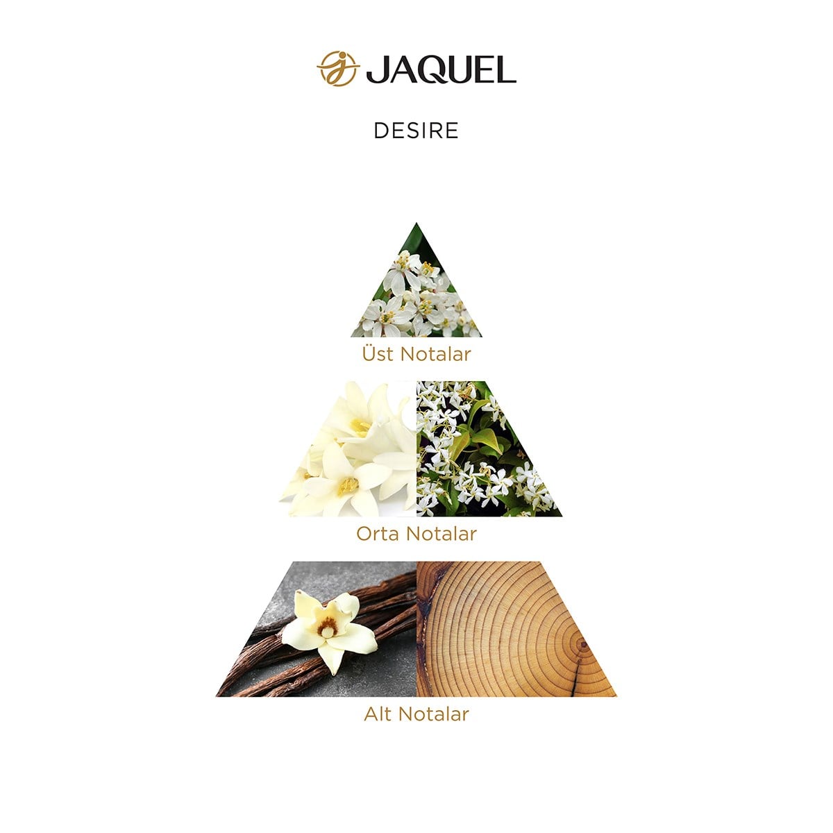 Jaquel Desire Kadın Parfümü 100ml