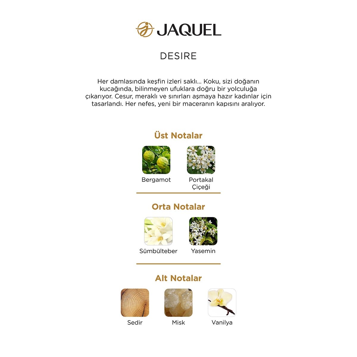 Jaquel Desire Kadın Parfümü 100ml