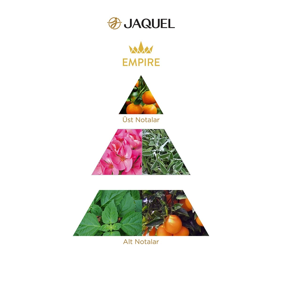 Jaquel Empire Erkek Parfümü 100ml