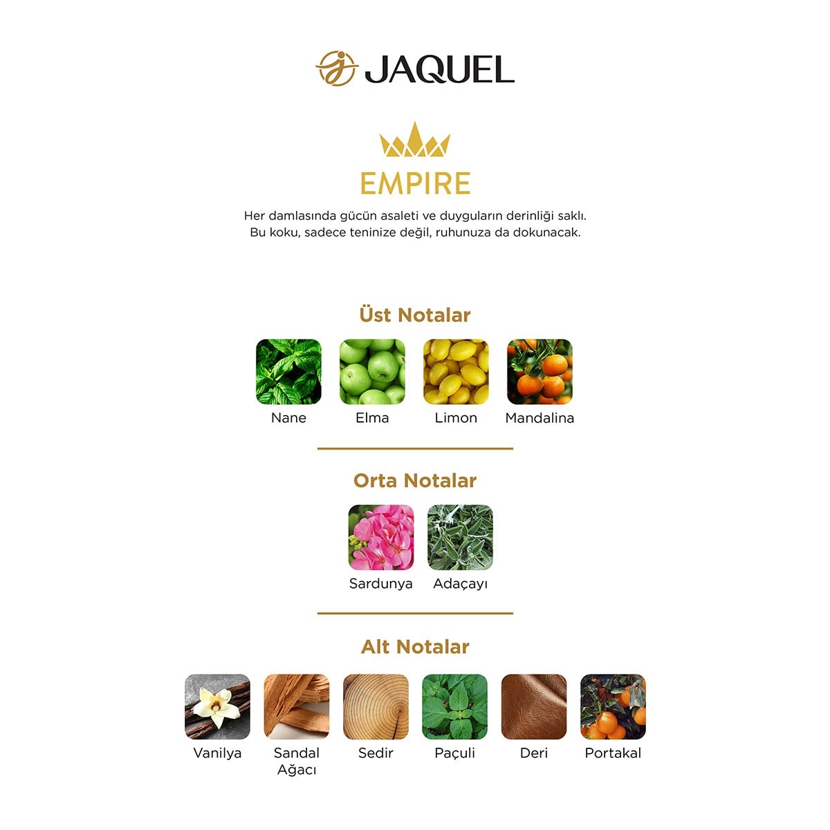 Jaquel Empire Erkek Parfümü 100ml