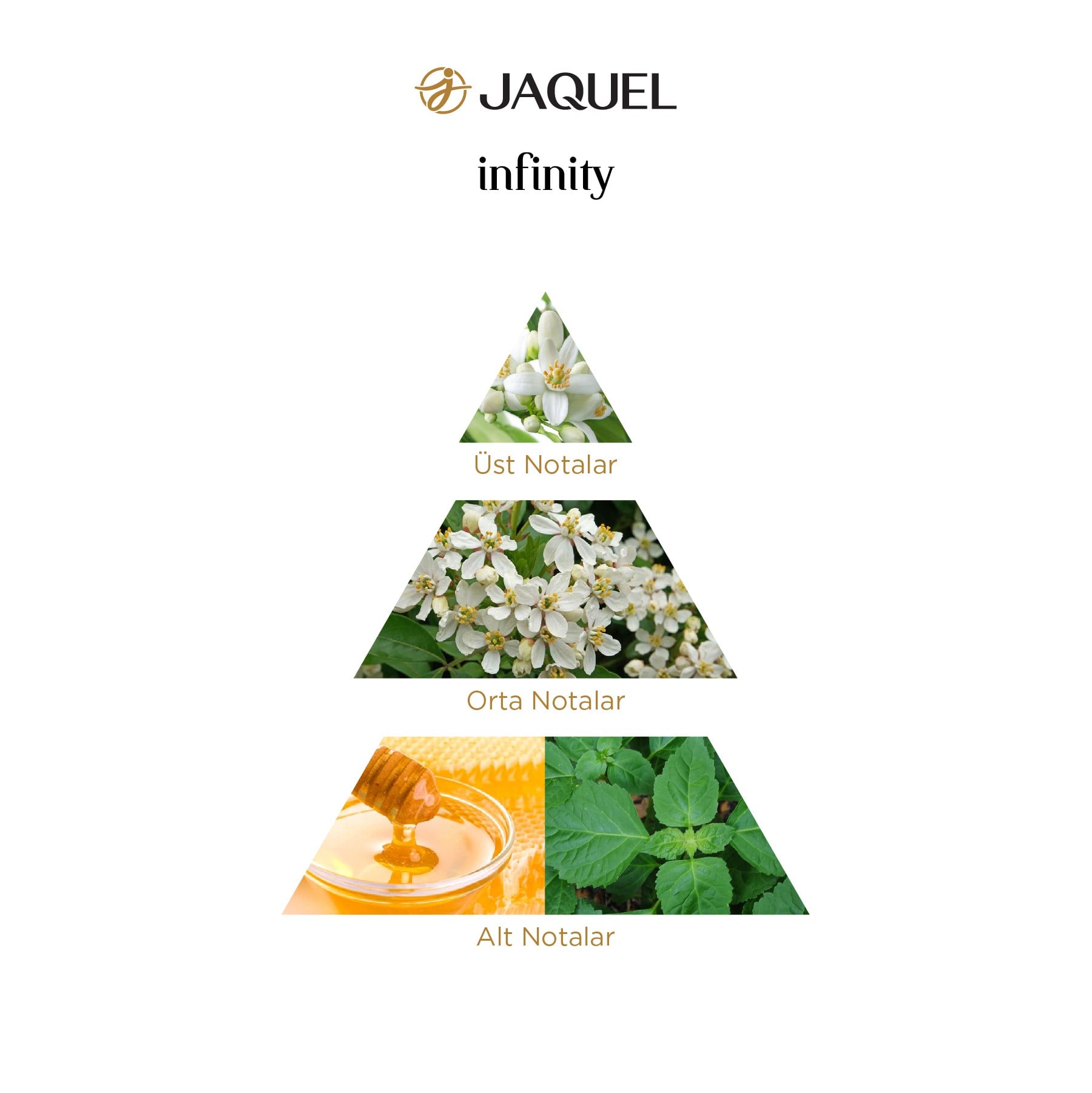 Jaquel Infinity Kadın Parfümü 100ml