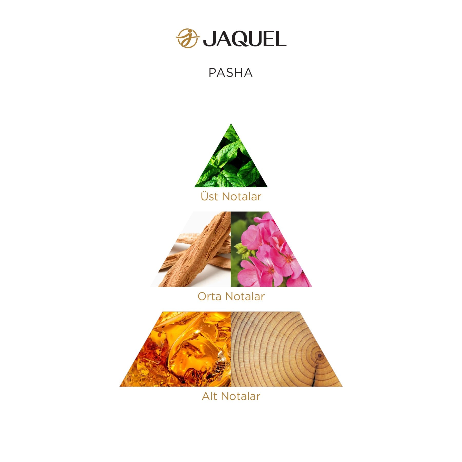 Jaquel Pasha Erkek Parfümü 100ml