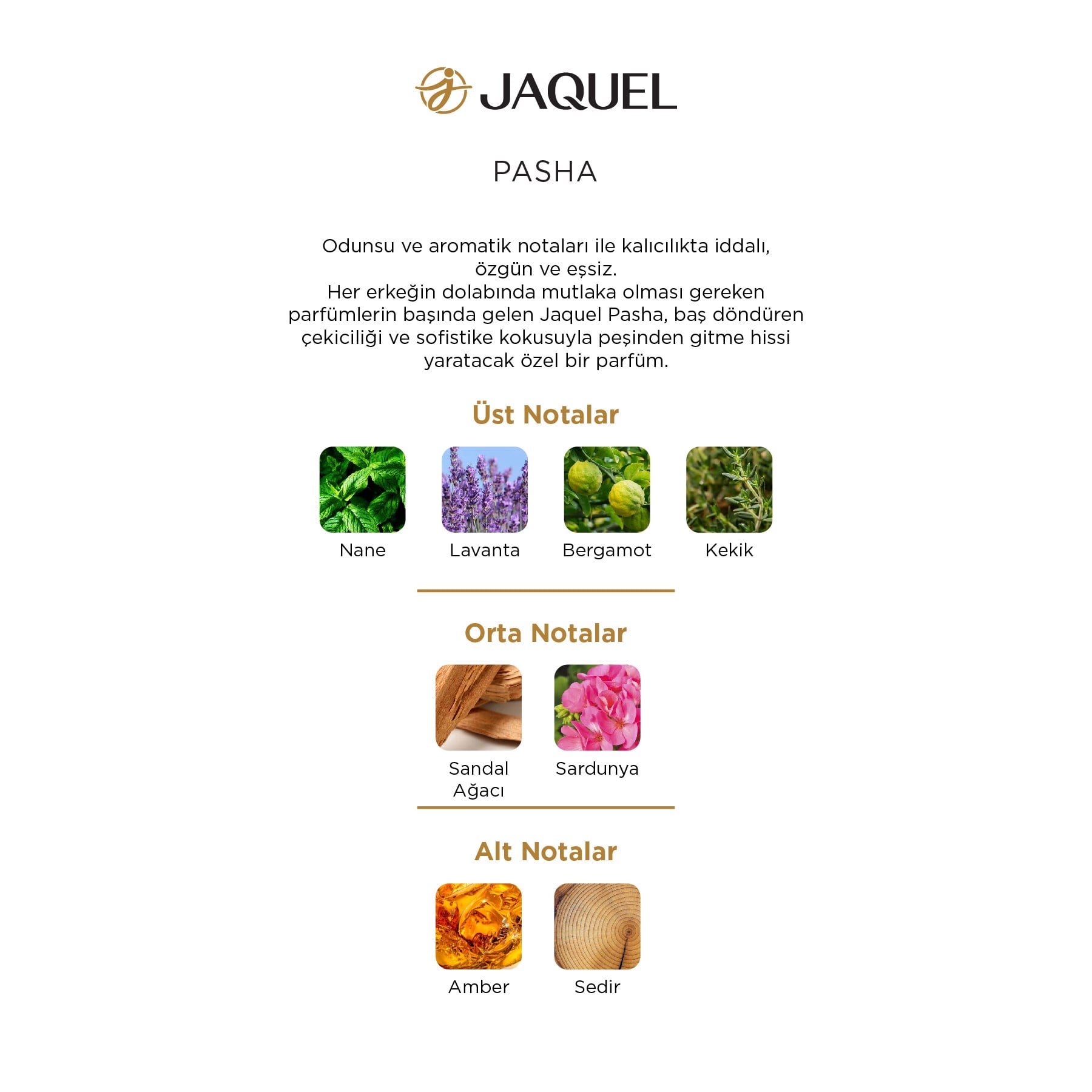 Jaquel Pasha Erkek Parfümü 100ml