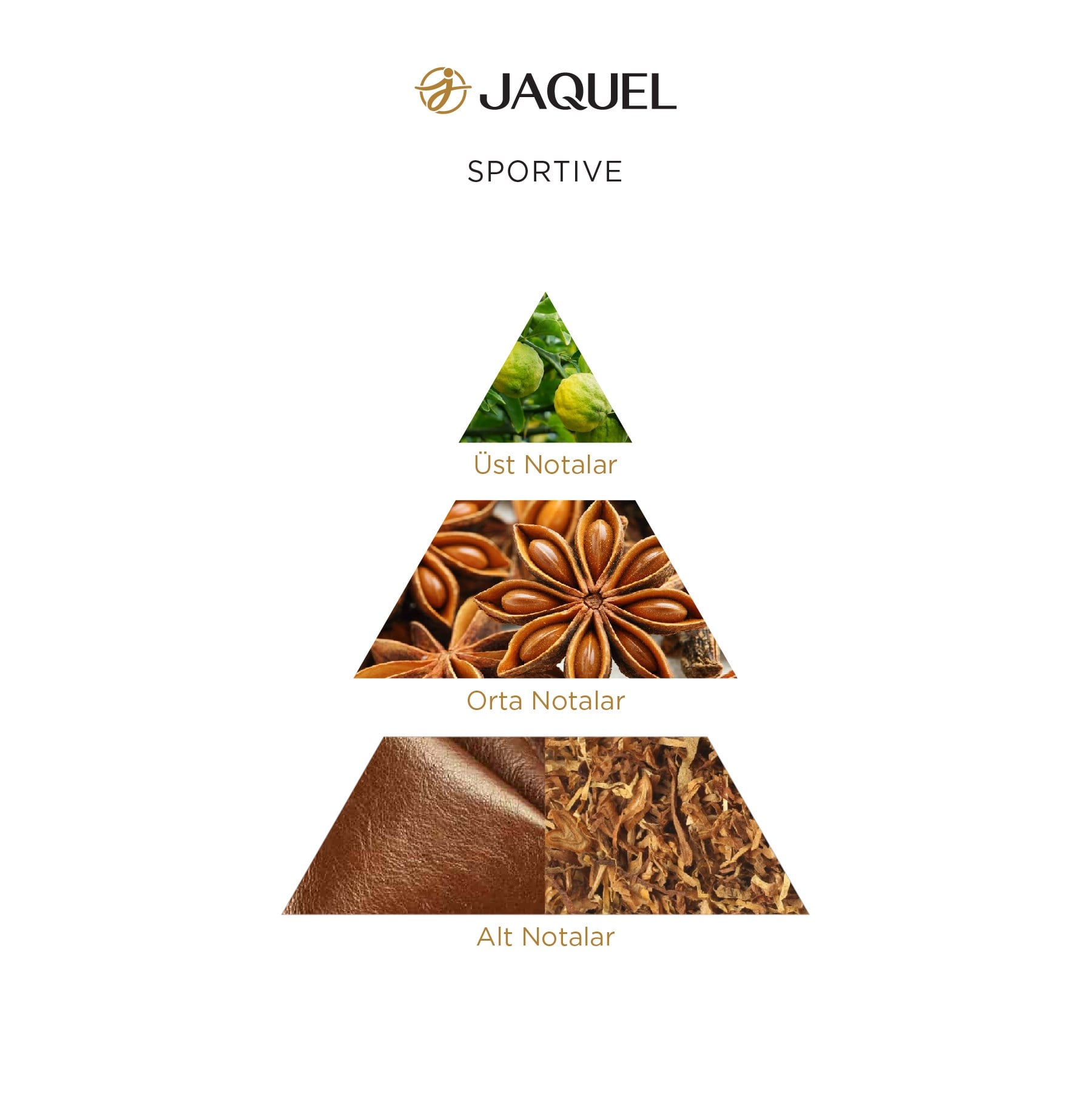 Jaquel Sportive Erkek Parfümü 100ml