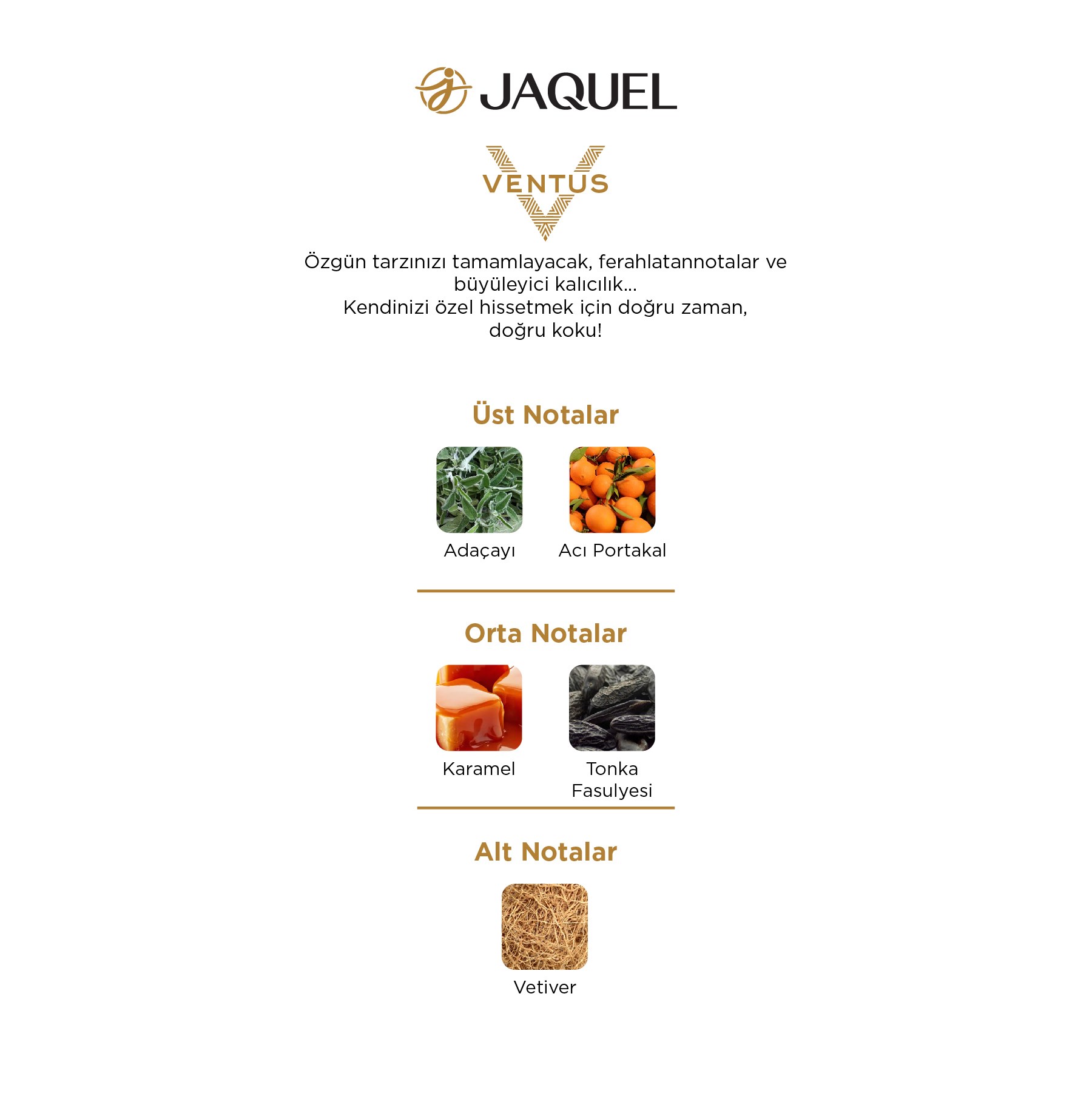 Jaquel Ventus Erkek Parfümü 100ml