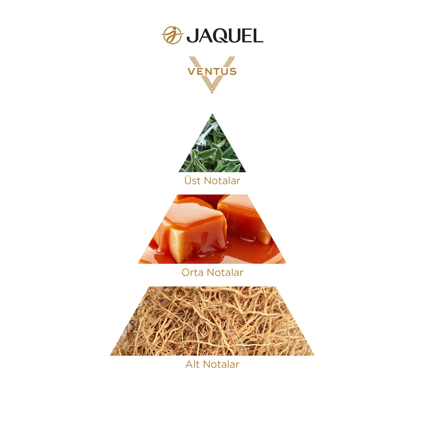 Jaquel Ventus Erkek Parfümü 100ml