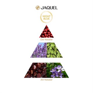 Jaquel Night Blue Erkek Parfümü 100ml