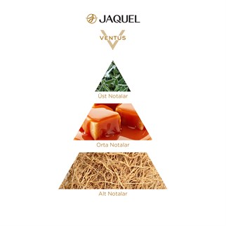 Jaquel Ventus Erkek Parfümü 100ml