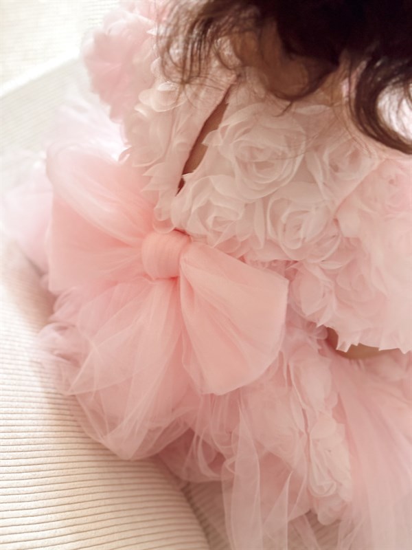 Özel Seri Gül Aplikeli Prenses Elbise Pembe