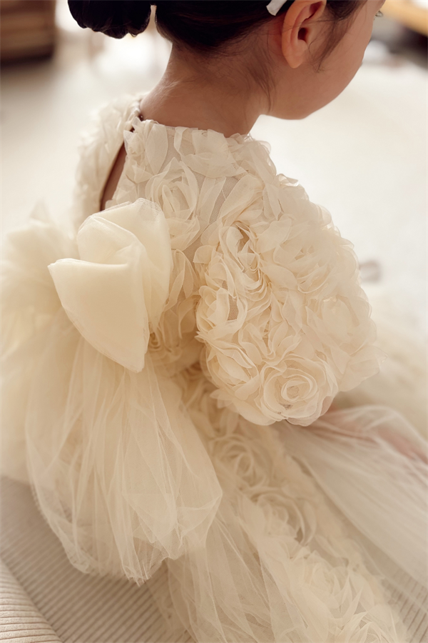 Özel Seri Gül Aplikeli Prenses Elbise Krem