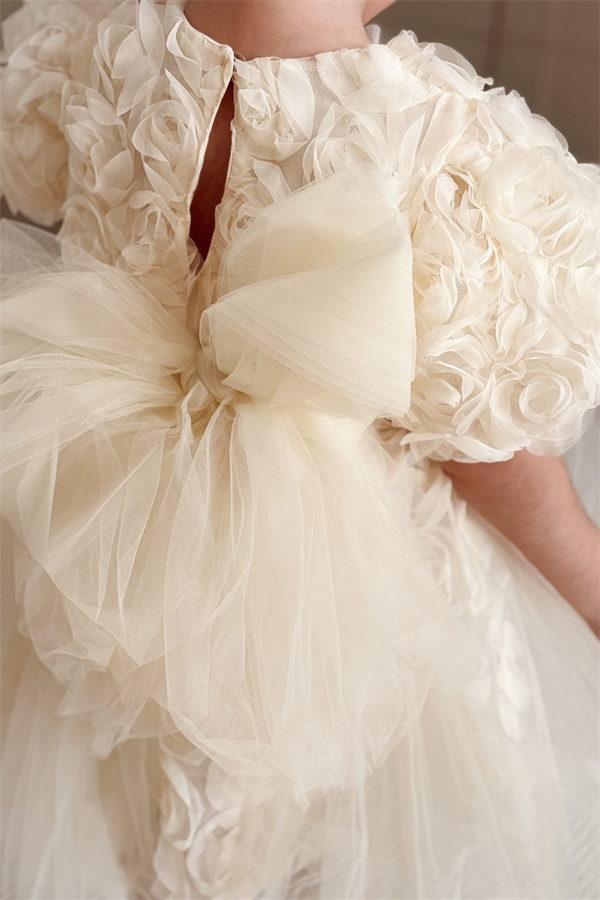 Özel Seri Gül Aplikeli Prenses Elbise Krem