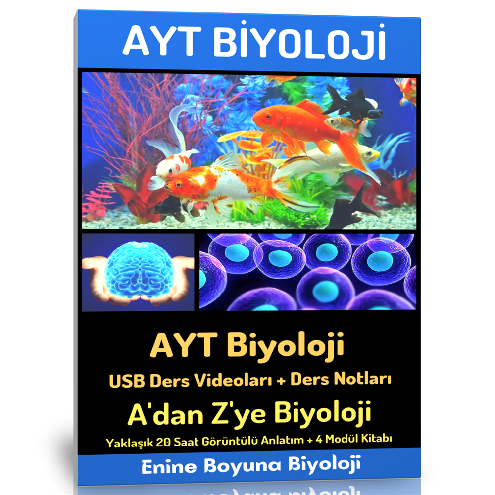 2023 AYT Biyoloji Modüler Kitap Seti ve USB Biyoloji Ders Videoları