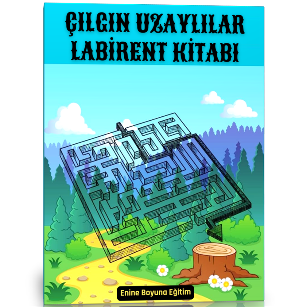 Çılgın Uzaylılar Labirent Kitabı