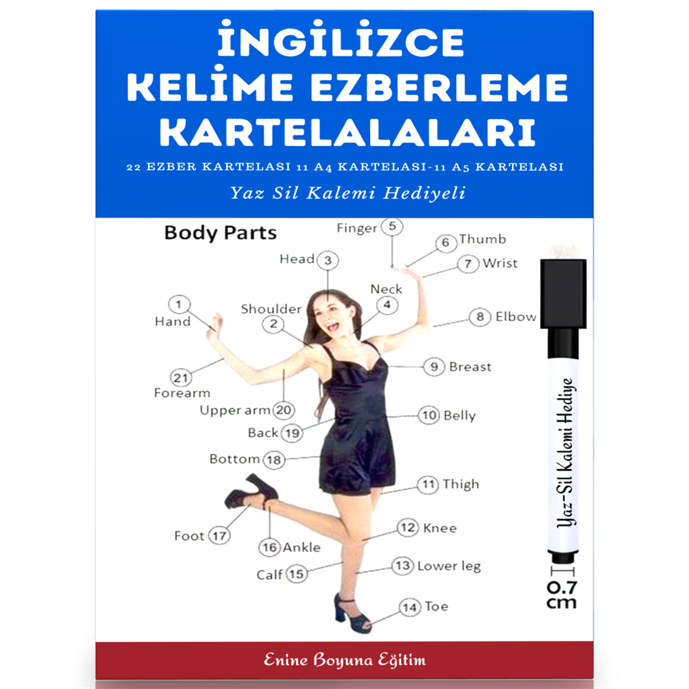İngilizce Kelime Ezberleme Kartelaları (22 Kartela)
