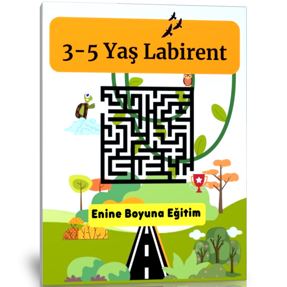 3-5 Yaş Labirent Kitabı 