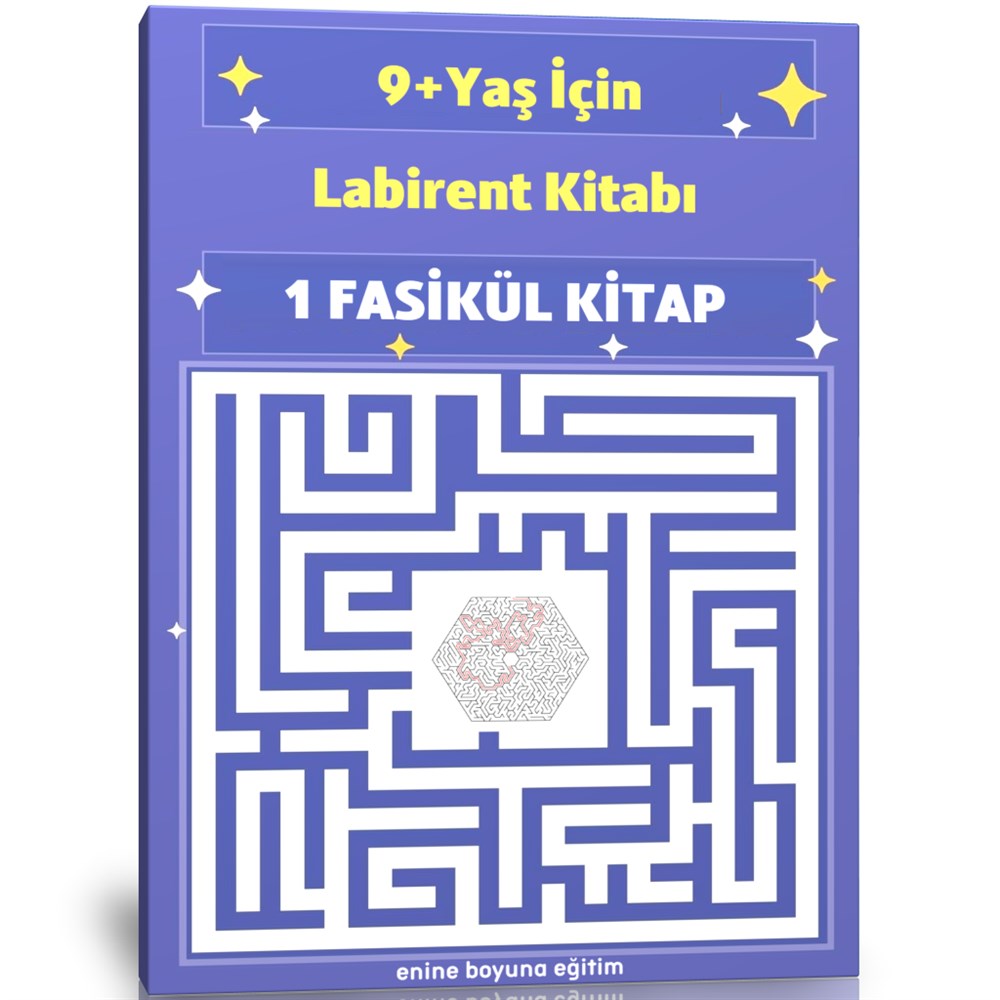9+ Yaş Labirent Kitabı 