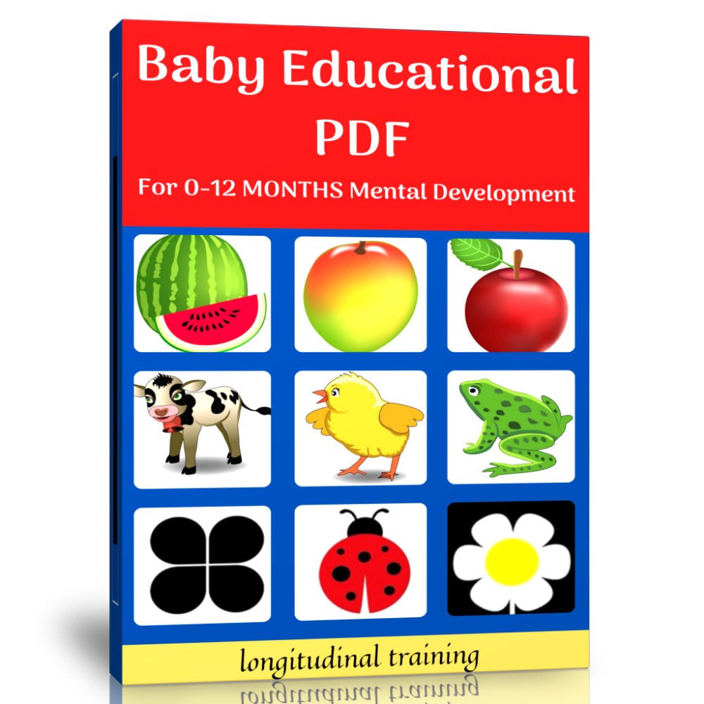 Baby Educational Set (0-12 Months Mental Development Set)