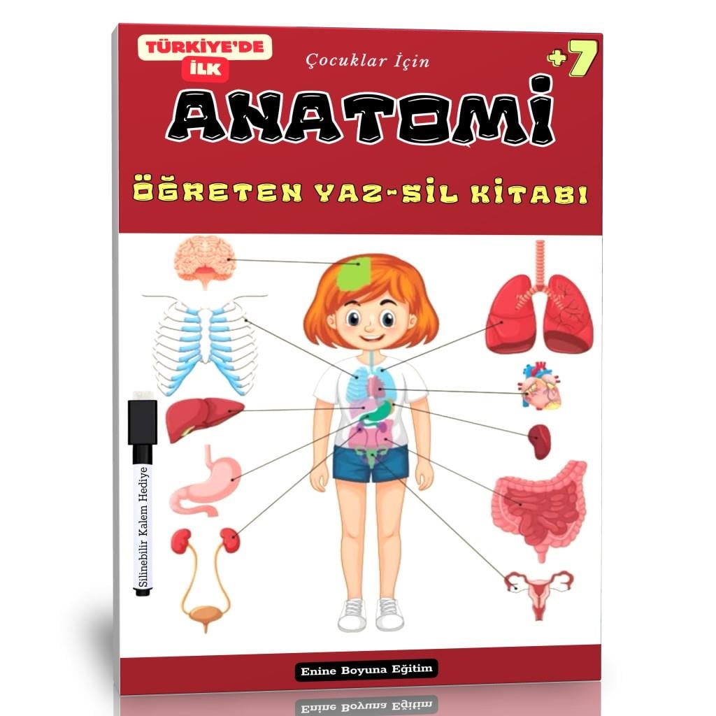 Çocuklar İçin ANATOMİ Öğreten YAZ-SİL Kitabı