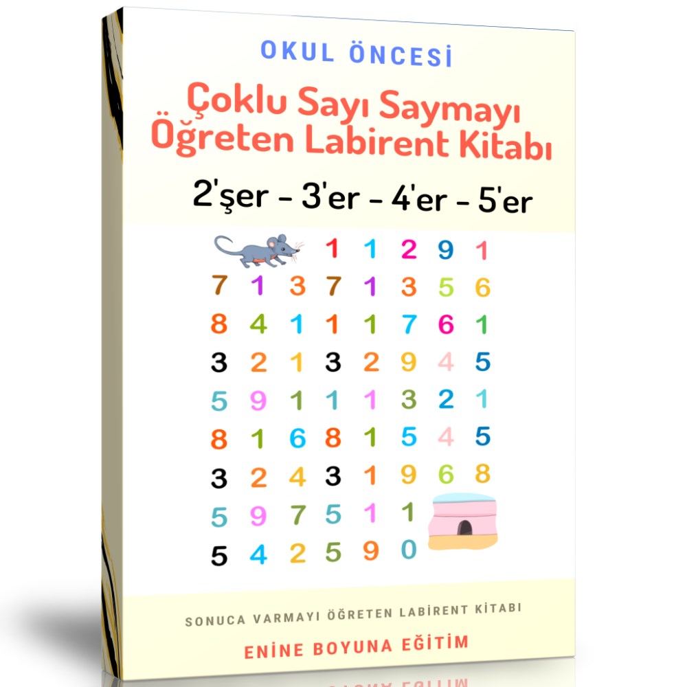 Çoklu Sayı Saymayı Öğreten Labirent Kitabı