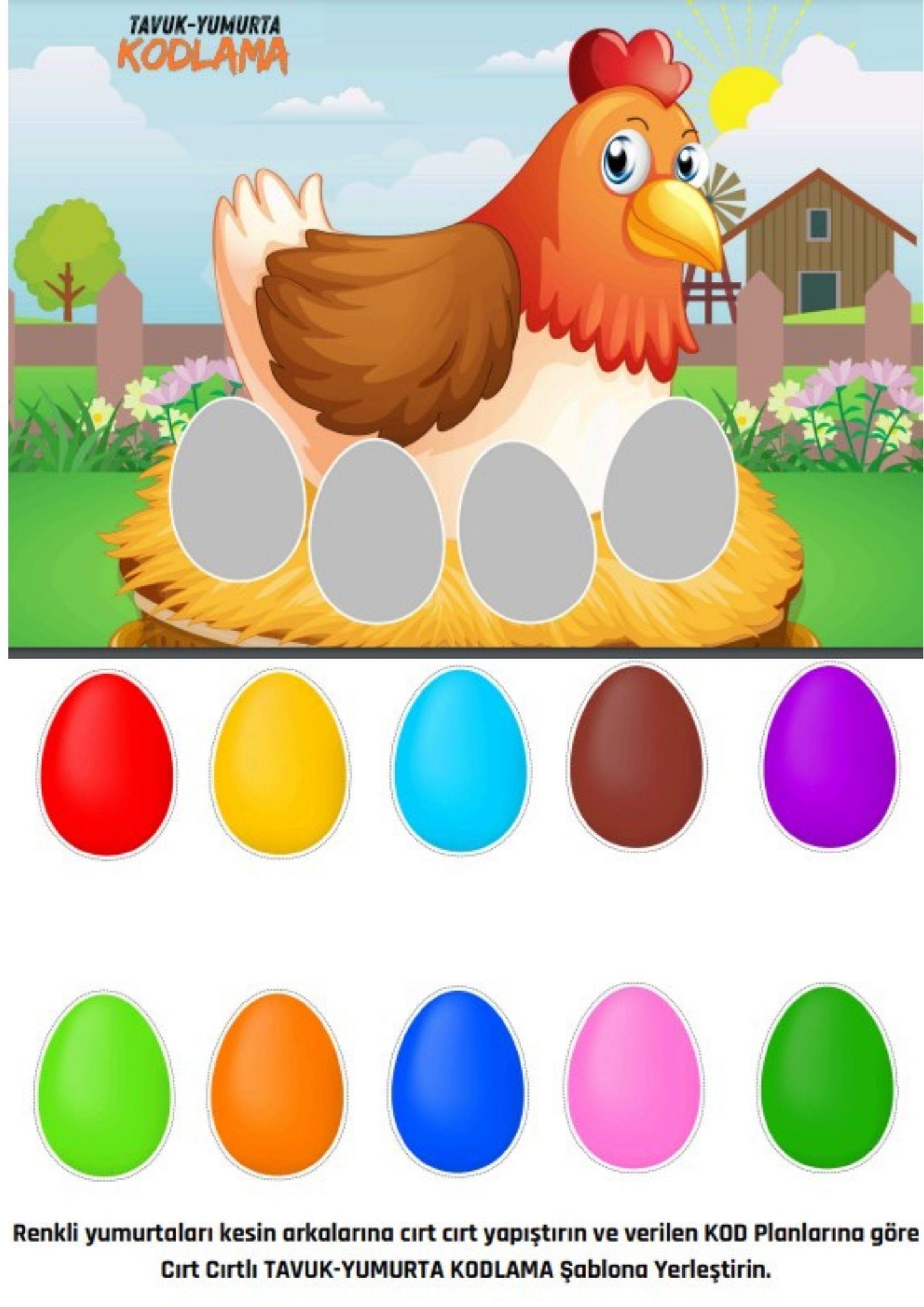 Okul Öncesi KODLAMA Eğitim (Tavuk-Yumurta)