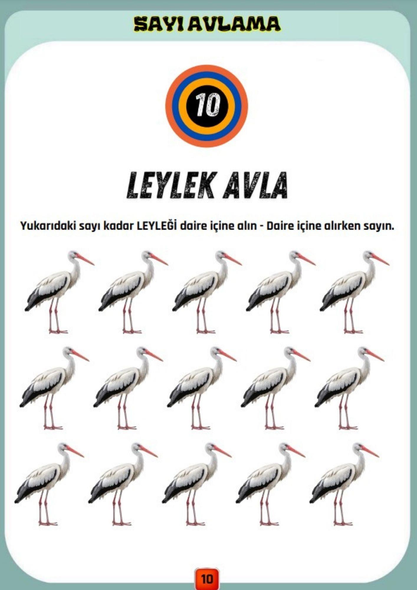 Okul Öncesi ve Birinci Sınıflar Sayıları AVLAMA Yaz-SİL Kitabı