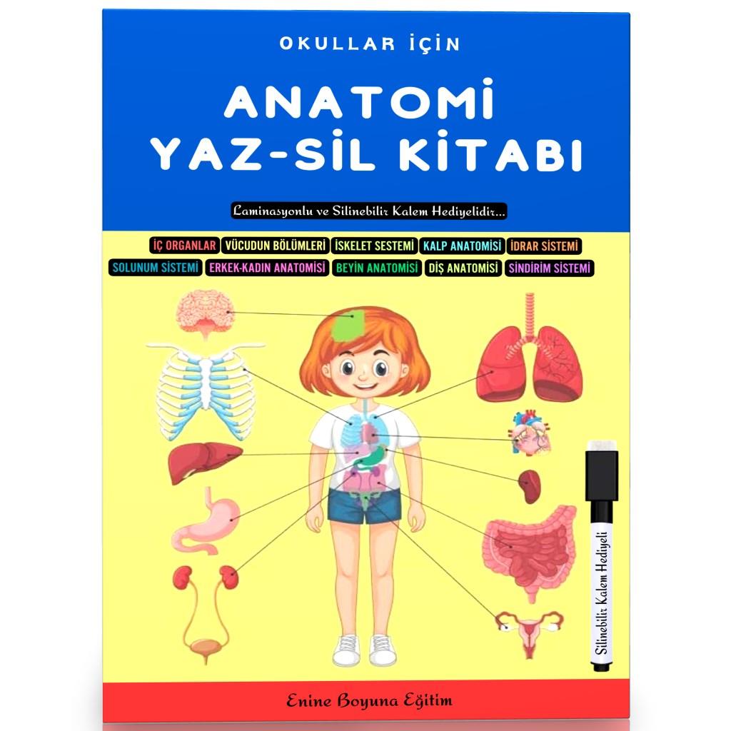 Okullar İçin Anatomi YAZ-SİL Kitabı (Herkes İçin)