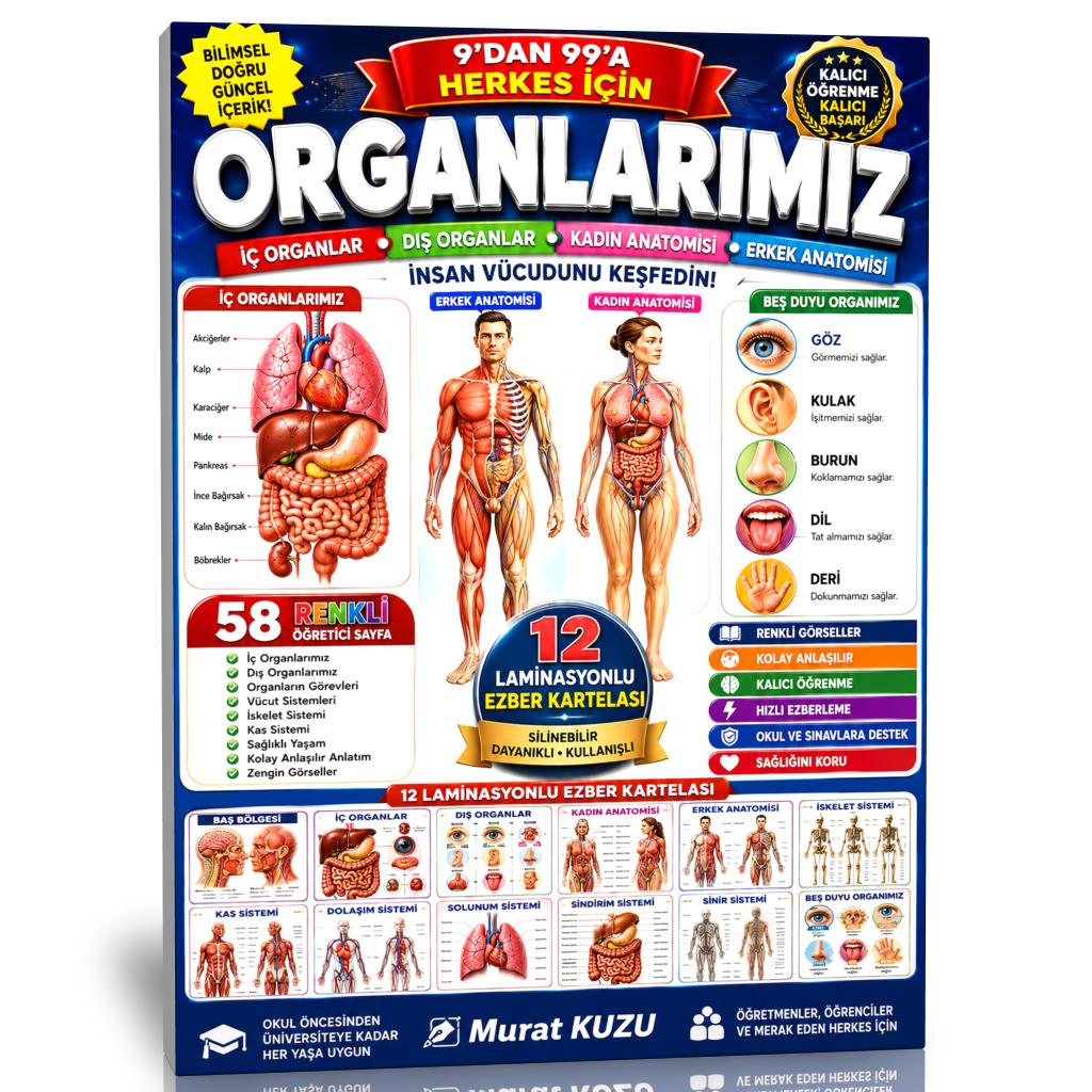 ORGANLARIMIZ – İnsan Vücudunu Keşfetmenin En Kolay Yolu!