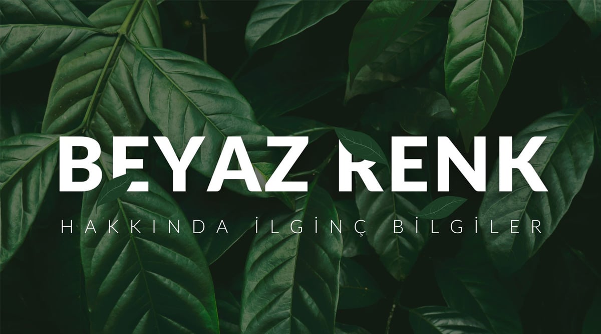 Beyaz Renk Hakkında İlginç Bilgiler