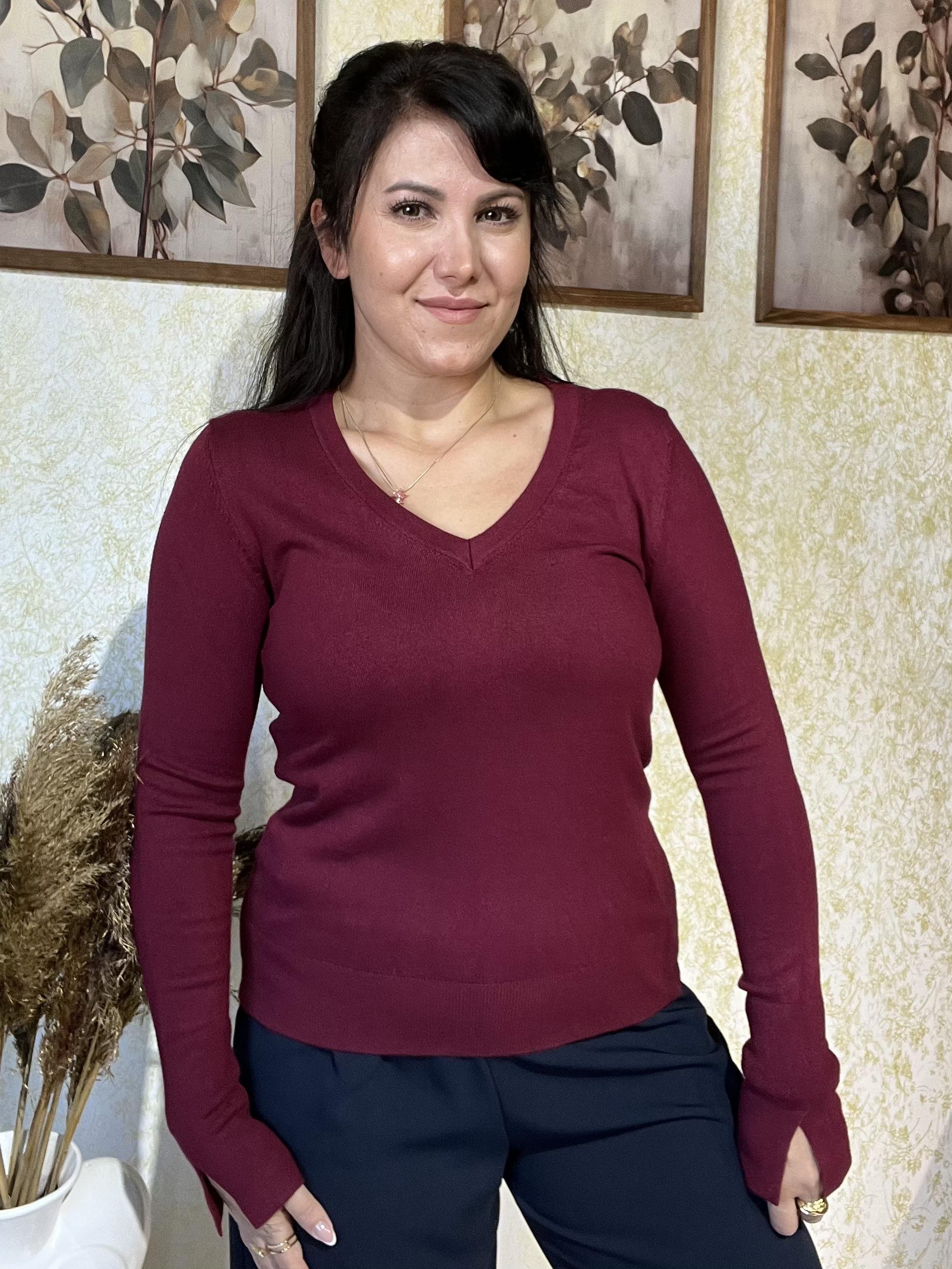 Dilvin Bordo V Yaka Triko