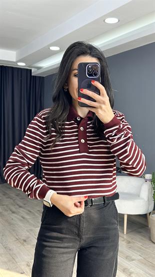 Bordo Krem Çizgili Polo Yaka Triko