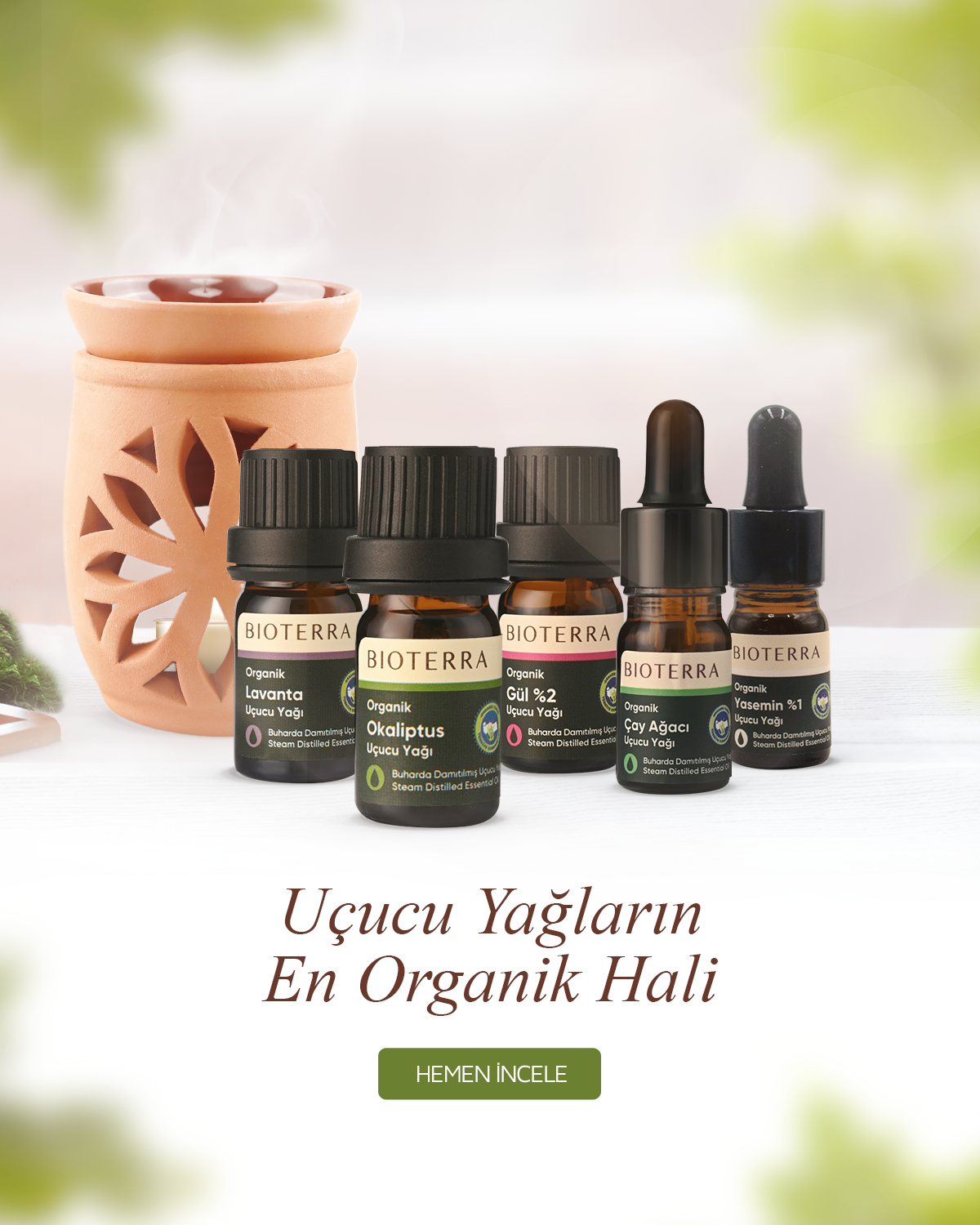 Bitki Yağları