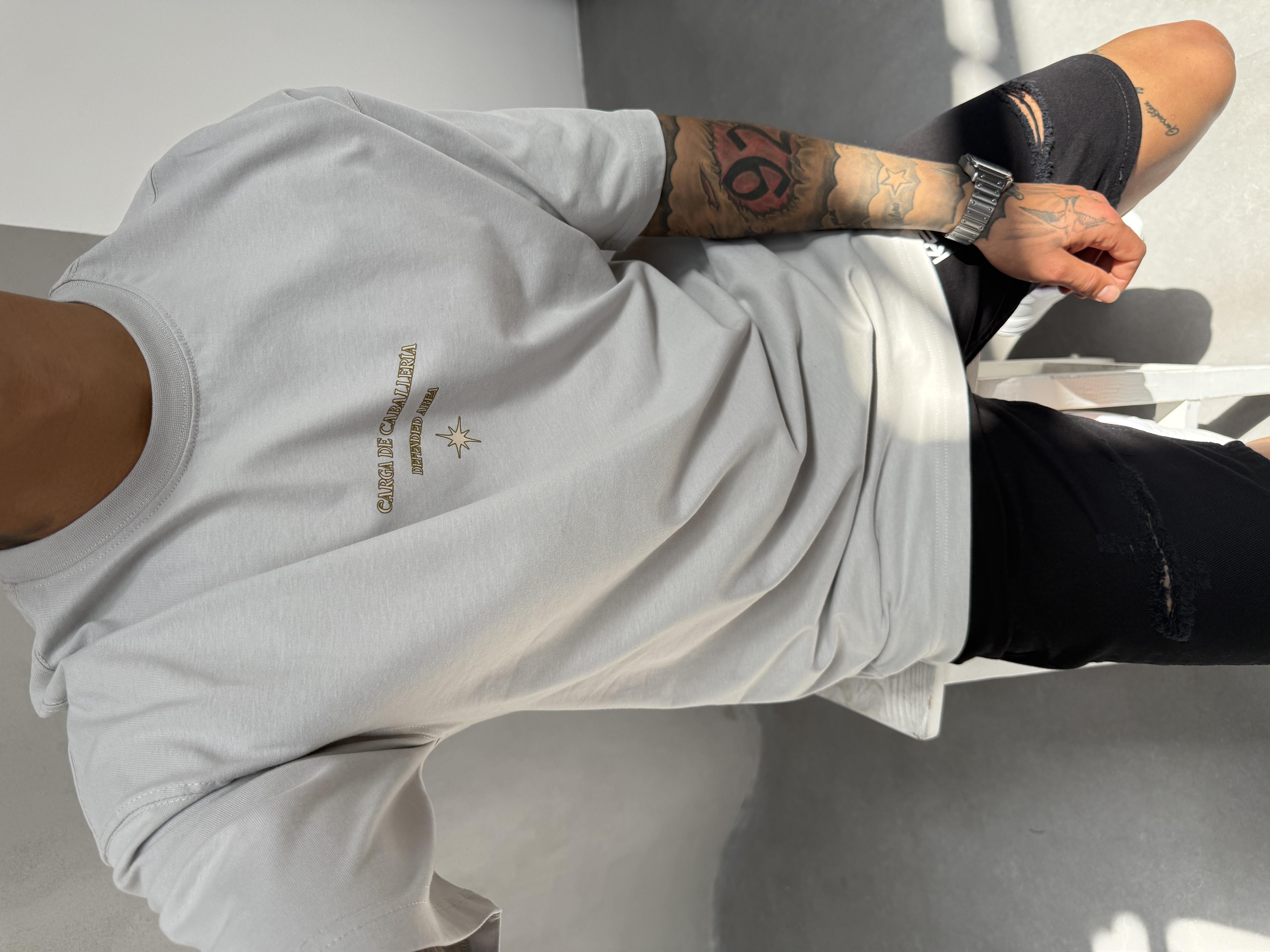 Gri Oversize Baskılı T-Shirt