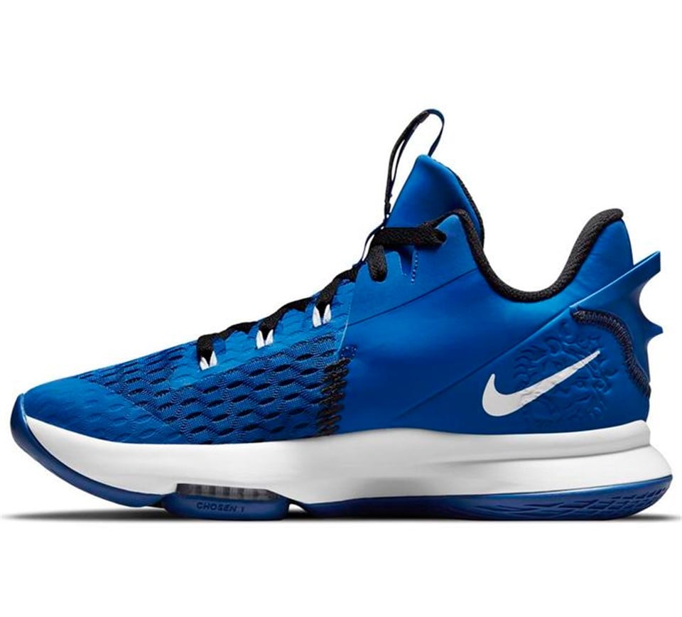 CQ9380-400Nike LeBron Witness 5 ''Game Royal''