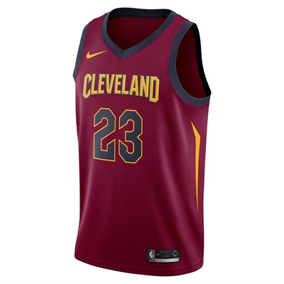 NIKE 'CLEVELAND LEBRON FORMA'