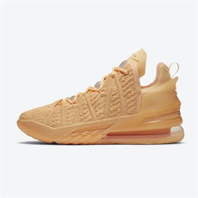 Nike Lebron 18 