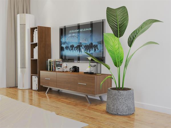 SAKSIPARK-Holo Serisi Yuvarlak Saksı