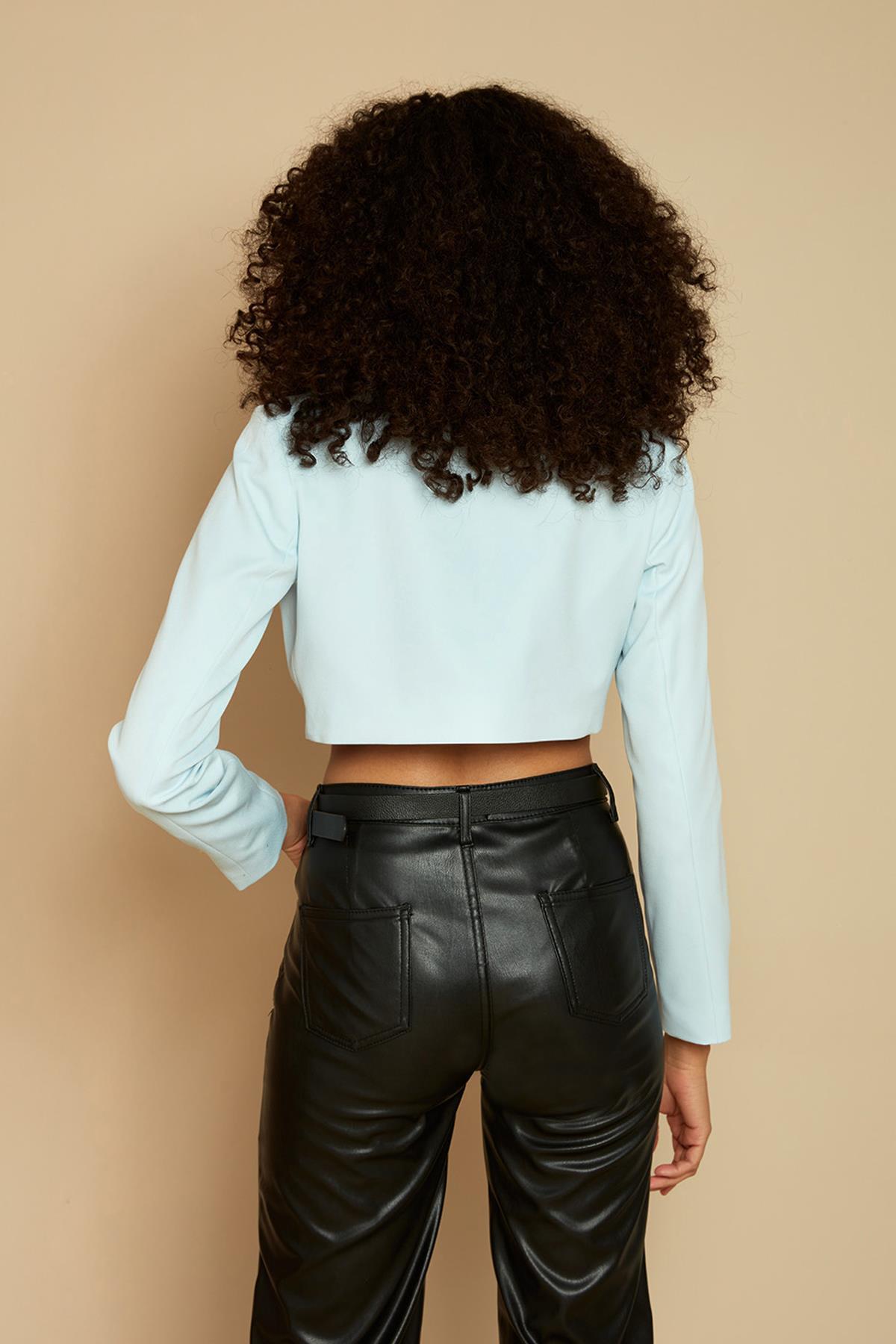 Kadın Tek Düğme Kapamalı Crop Blazer Ceket · 391