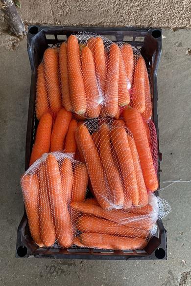 Havuç-paketleme-filesi