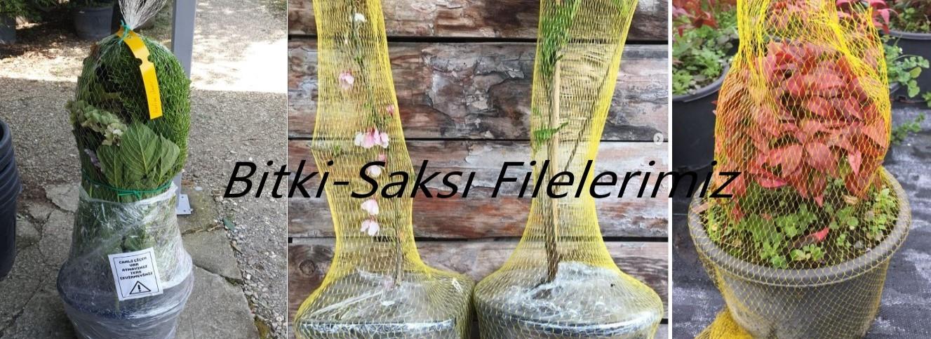 ilk banner