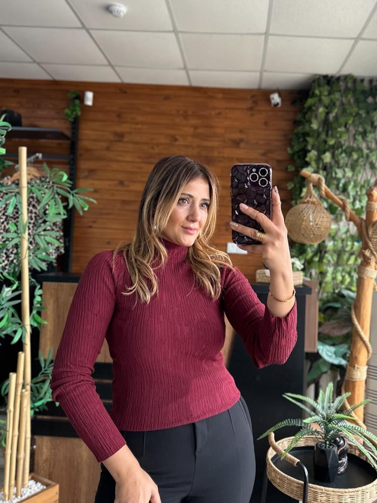 Dilvin Dik Yaka İnce Dokulu Triko Kazak Bordo