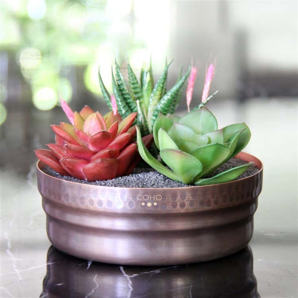 Coho Antique Décor Bakır Saksı
