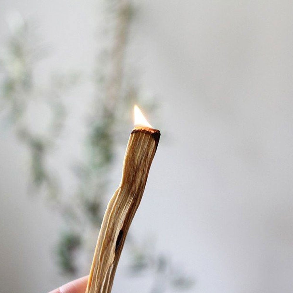 Coho Natural Palo Santo Tütsü Ağacı 2 li set