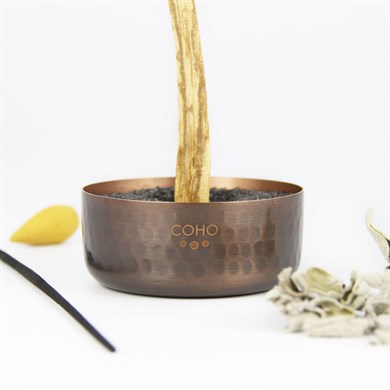 COHO Box Antique Meditation Bakır Tütsülük & 2 Palo Santo & Adaçayı Tütsü Seti