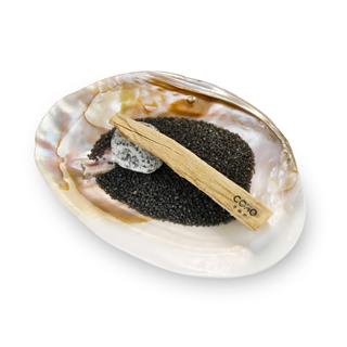 Coho Pearl Sedef Tütsülük ve Palo Santo Tütsü Seti